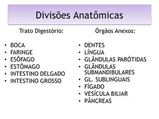 Divisões AnatômicasDivisões Anatômicas
 