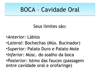 BOCA – Cavidade OralBOCA – Cavidade Oral
Seus limites são:
•Anterior: Lábios
•Lateral: Bochechas (Mús. Bucinador)
•Superior: Palato Duro e Palato Mole
•Inferior: Músc. do soalho da boca
•Posterior: Istmo das fauces (passagem
entre cavidade oral e orofaringe)
 