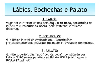 Lábios, Bochechas e PalatoLábios, Bochechas e Palato
1. LÁBIOS:
•Superior e inferior unidos pelo ângulo da boca, constituído de
músculos (Orbicular da Boca), pele (externa) e mucosa
(interna).
 
2. BOCHECHAS:
•É o limite lateral da cavidade oral. Constituídas
principalmente pelo músculo Bucinador e revestidas de mucosa.
3. PALATO:
•Limite superior, chamado “céu da boca”, constituído por
Palato DURO (ossos palatinos) e Palato MOLE (cartilagem e
ÚVULA PALATINA).
 