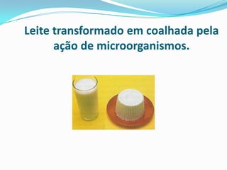 Leite transformado em coalhada pela
      ação de microorganismos.
 