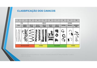 Teoria da Usinagem dos Materiais – Álisson R. Machado, Alexandre M. Abrão, ReginaldoT. Coelho e
Márcio B. da Silva
CLASSIFICAÇÃO DOS CAVACOS
 