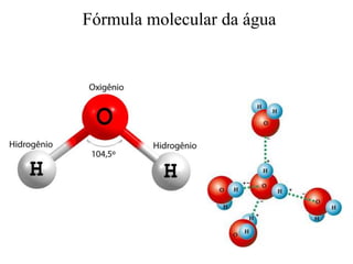 Fórmula molecular da água

 