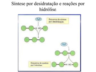 Síntese por desidratação e reações por
hidrólise.

 