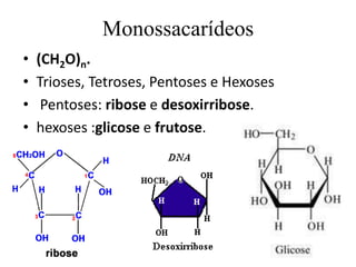 Monossacarídeos
•
•
•
•

(CH2O)n.
Trioses, Tetroses, Pentoses e Hexoses
Pentoses: ribose e desoxirribose.
hexoses :glicose e frutose.

 