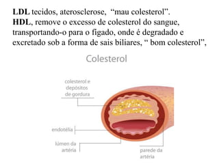 LDL tecidos, aterosclerose, “mau colesterol”.
HDL, remove o excesso de colesterol do sangue,
transportando-o para o fígado, onde é degradado e
excretado sob a forma de sais biliares, “ bom colesterol”,

 