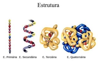 Estrutura

 