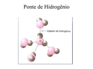 Ponte de Hidrogênio

 