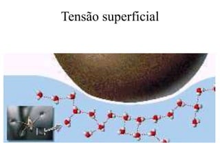 Tensão superficial

 