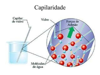 Capilaridade

 