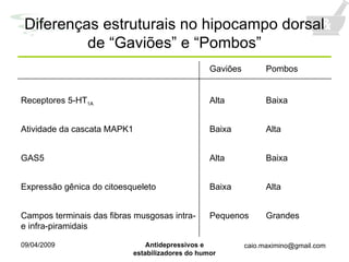 Diferenças estruturais no hipocampo dorsal de “Gaviões” e “Pombos” Grandes Pequenos Campos terminais das fibras musgosas intra- e infra-piramidais Alta Baixa Expressão gênica do citoesqueleto Baixa Alta GAS5 Alta Baixa Atividade da cascata MAPK1 Baixa Alta Receptores 5-HT 1A Pombos Gaviões 