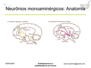 Neurônios monoaminérgicos: Anatomia 