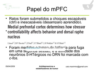 Papel do mPFC Ratos foram submetidos a choques escapáveis (ctrl) e inescapáveis (desamparo aprendido). Um grupo teve o mPFCv inibido temporariamente através da injeção de muscimol (agonista GABA A ). Foram medidos o tempo de latência para fuga em uma segunda sessão, e a atividade dos neurônios 5-HTérgicos no DRN foi marcada com  c-fos . 