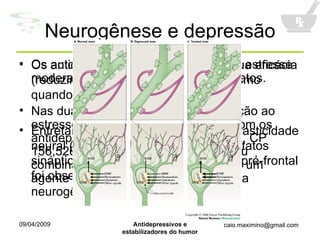 Neurogênese e depressão Os autores utilizaram um protocolo de estresse moderado crônico e imprevisível em ratos. Nas duas últimas semanas de exposição ao estresse, os animais foram tratados com os antidepressivos fluoxetina, imipramina, CP 156,526 ou SSR 1494515, sozinhos ou combinados com o metilazoximetanol, um agente citostático usado para impedir a neurogênese Os antidepressivos utilizados retém sua eficácia (reduzindo índices de depressão) mesmo quando a neurogênese é bloqueada. Entretanto, o re-estabelecimento da plasticidade neural (remodelagem dendrítica e contatos sinápticos) no hipocampo e no córtex pré-frontal foi observado. 