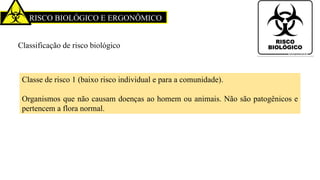 RISCO BIOLÓGICO E ERGONÔMICO
Classificação de risco biológico
Classe de risco 1 (baixo risco individual e para a comunidade).
Organismos que não causam doenças ao homem ou animais. Não são patogênicos e
pertencem a flora normal.
 