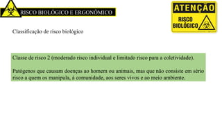 RISCO BIOLÓGICO E ERGONÔMICO
Classificação de risco biológico
Classe de risco 2 (moderado risco individual e limitado risco para a coletividade).
Patógenos que causam doenças ao homem ou animais, mas que não consiste em sério
risco a quem os manipula, à comunidade, aos seres vivos e ao meio ambiente.
 