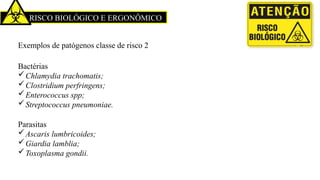 RISCO BIOLÓGICO E ERGONÔMICO
Exemplos de patógenos classe de risco 2
Bactérias
Chlamydia trachomatis;
Clostridium perfringens;
Enterococcus spp;
Streptococcus pneumoniae.
Parasitas
Ascaris lumbricoides;
Giardia lamblia;
Toxoplasma gondii.
 