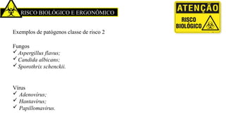 RISCO BIOLÓGICO E ERGONÔMICO
Exemplos de patógenos classe de risco 2
Fungos
Aspergillus flavus;
Candida albicans;
Sporothrix schenckii.
Vírus
 Adenovírus;
 Hantavírus;
 Papillomavirus.
 