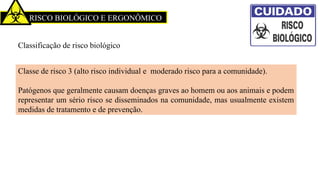 RISCO BIOLÓGICO E ERGONÔMICO
Classificação de risco biológico
Classe de risco 3 (alto risco individual e moderado risco para a comunidade).
Patógenos que geralmente causam doenças graves ao homem ou aos animais e podem
representar um sério risco se disseminados na comunidade, mas usualmente existem
medidas de tratamento e de prevenção.
 