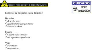 RISCO BIOLÓGICO E ERGONÔMICO
Exemplos de patógenos classe de risco 3
Bactérias
Brucella spp;
Haemophilus equigenitalis;
Rickettsia akari.
Fungos
Coccidioides immitis;
Histoplasma capsulatum.
Vírus
Flavivius;
Herpesvirus.
 