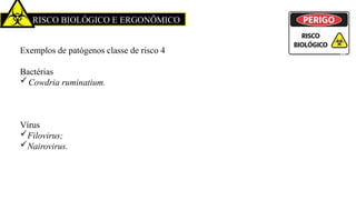 RISCO BIOLÓGICO E ERGONÔMICO
Exemplos de patógenos classe de risco 4
Bactérias
Cowdria ruminatium.
Vírus
Filovirus;
Nairovirus.
 