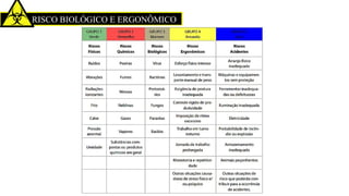 RISCO BIOLÓGICO E ERGONÔMICO
 