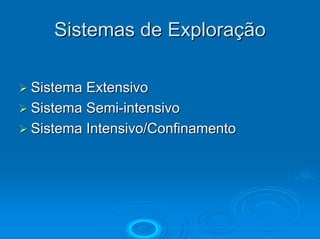 Sistemas de Exploração

Sistema Extensivo
Sistema Semi-intensivo
Sistema Intensivo/Confinamento
 
