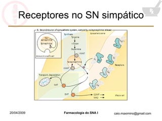 Receptores no SN simpático 