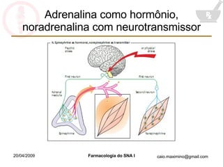 Adrenalina como hormônio, noradrenalina com neurotransmissor 