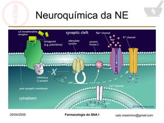Neuroquímica da NE 