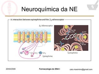 Neuroquímica da NE 