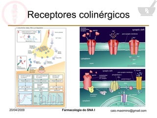 Receptores colinérgicos 