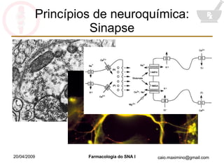 Princípios de neuroquímica: Sinapse 