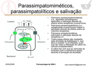 Parassimpatomiméticos, parassimpatolíticos e salivação Fármacos parassimpatomiméticos (i.e., agonistas adrenérgicos) estimulam a salivação através de efeitos sobre receptores muscarínicos. Fármacos parassimpatolíticos (i.e., antagonistas muscarínicos) inibem a salivação através de efeitos sobre os mesmos receptores. Fármacos simpatomiméticos estimulam a salivação através de receptores  α 1. Todos esses efeitos são mediados pela atividade da fosfolipase C, que ativa a inositol 1,4,5-trifosfato, e por sua vez induz a liberação de cálcio do retículo endoplasmático. O cálcio faz com que as vesículas se fusionem com a membrana apical, levando à formação de secreção. 