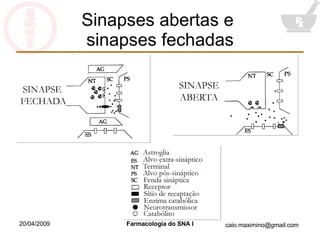 Sinapses abertas e  sinapses fechadas 