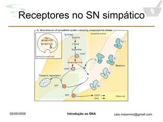 Receptores no SN simpático 