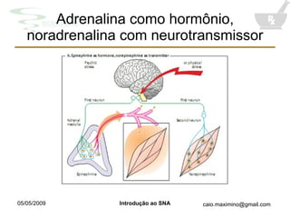 Adrenalina como hormônio, noradrenalina com neurotransmissor 
