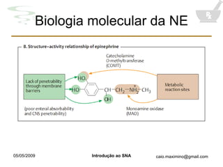 Biologia molecular da NE 