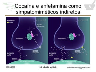 Cocaína e anfetamina como simpatomiméticos indiretos 