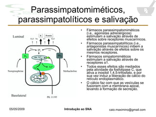 Parassimpatomiméticos, parassimpatolíticos e salivação Fármacos parassimpatomiméticos (i.e., agonistas adrenérgicos) estimulam a salivação através de efeitos sobre receptores muscarínicos. Fármacos parassimpatolíticos (i.e., antagonistas muscarínicos) inibem a salivação através de efeitos sobre os mesmos receptores. Fármacos simpatomiméticos estimulam a salivação através de receptores  α 1. Todos esses efeitos são mediados pela atividade da fosfolipase C, que ativa a inositol 1,4,5-trifosfato, e por sua vez induz a liberação de cálcio do retículo endoplasmático. O cálcio faz com que as vesículas se fusionem com a membrana apical, levando à formação de secreção. 