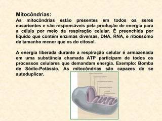 Mitocôndrias:
As mitocôndrias estão presentes em todos os seres
eucariontes e são responsáveis pela produção de energia para
a célula por meio da respiração celular. É preenchida por
líquido que contém enzimas diversas, DNA, RNA, e ribossomo
de tamanho menor que os do citosol.
A energia liberada durante a respiração celular é armazenada
em uma substância chamada ATP participam de todos os
processos celulares que demandam energia. Exemplo: Bomba
de Sódio-Potássio. As mitocôndrias são capazes de se
autoduplicar.
 