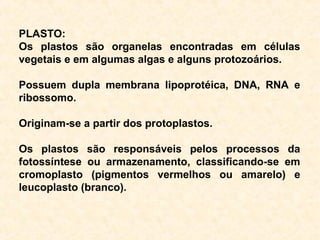 PLASTO:
Os plastos são organelas encontradas em células
vegetais e em algumas algas e alguns protozoários.
Possuem dupla membrana lipoprotéica, DNA, RNA e
ribossomo.
Originam-se a partir dos protoplastos.
Os plastos são responsáveis pelos processos da
fotossíntese ou armazenamento, classificando-se em
cromoplasto (pigmentos vermelhos ou amarelo) e
leucoplasto (branco).
 