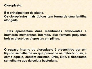 Cloroplasto:
È o principal tipo de plasto.
Os cloroplastos mais típicos tem forma de uma lentilha
alongada.
Eles apresentam duas membranas envolventes e
inúmeras membranas internas, que formam pequenas
bolsas discóides dispostas em pilhas.
O espaço interno do cloroplasto é preenchido por um
líquido semelhante ao que preenche as mitocôndrias, e
como aquela, contém enzimas, DNA, RNA e ribossomo
semelhante aos da célula bacteriana.
 