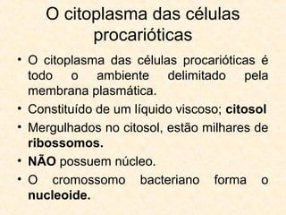 O citoplasma das células
procarióticas
• O citoplasma das células procarióticas é
todo o ambiente delimitado pela
membrana plasmática.
• Constituído de um líquido viscoso; citosol
• Mergulhados no citosol, estão milhares de
ribossomos.
• NÃO possuem núcleo.
• O cromossomo bacteriano forma o
nucleoide.
 