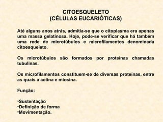 CITOESQUELETO
(CÉLULAS EUCARIÓTICAS)
Até alguns anos atrás, admitia-se que o citoplasma era apenas
uma massa gelatinosa. Hoje, pode-se verificar que há também
uma rede de microtúbulos e microfilamentos denominada
citoesqueleto.
Os microtúbulos são formados por proteínas chamadas
tubulinas.
Os microfilamentos constituem-se de diversas proteínas, entre
as quais a actina e miosina.
Função:
•Sustentação
•Definição de forma
•Movimentação.
 