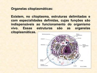 Organelas citoplasmáticas:
Existem, no citoplasma, estruturas delimitadas e
com especialidades definidas, cujas funções são
indispensáveis ao funcionamento do organismo
vivo. Essas estruturas são as organelas
citoplasmáticas.
 