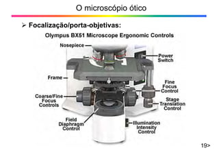 O microscópio ótico
19>
¾ Focalização/porta-objetivas:
 