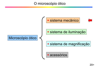 O microscópio ótico
20>
Microscópio ótico
ƒ sistema de magnificação
ƒ sistema de iluminação
ƒ sistema mecânico
ƒ acessórios
 