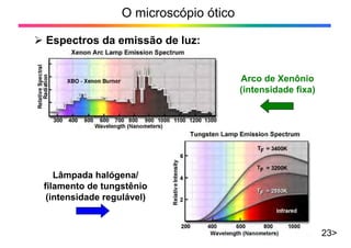 O microscópio ótico
23>
¾ Espectros da emissão de luz:
Lâmpada halógena/
filamento de tungstênio
(intensidade regulável)
Arco de Xenônio
(intensidade fixa)
 