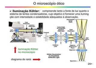compreende tanto a fonte de luz quanto o
sistema de lentes condensadoras, cujo objetivo é fornecer uma ilumina
ção com intensidade e estabilidade adequados à observação.
O microscópio ótico
24>
¾ Iluminação Köhler:
diagrama de raios
iluminação Köhler
no microscópio
 