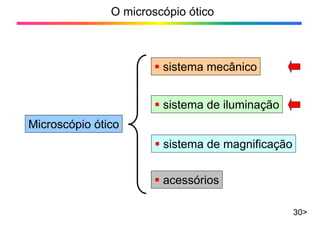 O microscópio ótico
30>
Microscópio ótico
ƒ sistema de magnificação
ƒ sistema de iluminação
ƒ sistema mecânico
ƒ acessórios
 